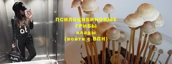 каннабис Абаза