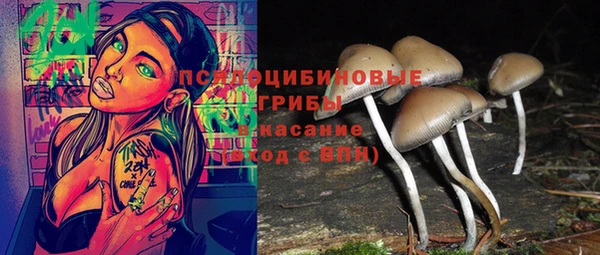 гидра Абдулино