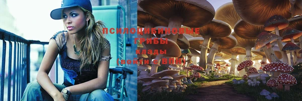 мескалин Алексеевка